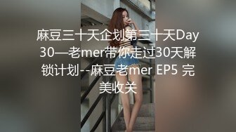 麻豆三十天企划第三十天Day30—老mer带你走过30天解锁计划--麻豆老mer EP5 完美收关