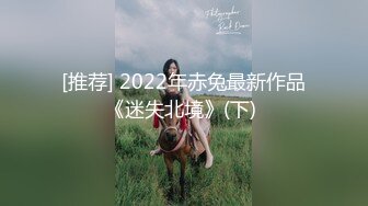 [推荐] 2022年赤兔最新作品《迷失北境》(下) 