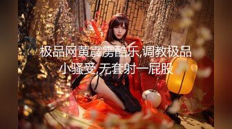 极品网黄霹雳酷乐,调教极品小骚受,无套射一屁股