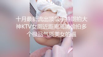 十月最新流出顶级手持厕拍大神KTV女厕近距离高清偷拍多个极品气质美女的逼