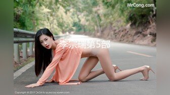 李宗瑞第5部