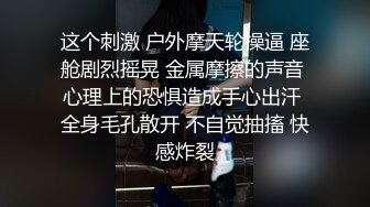 这个刺激 户外摩天轮操逼 座舱剧烈摇晃 金属摩擦的声音 心理上的恐惧造成手心出汗 全身毛孔散开 不自觉抽搐 快感炸裂