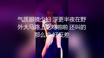 气质眼镜少妇 深更半夜在野外大马路上吃鸡啪啪 还叫的那么响 好反差