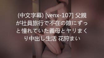 (中文字幕) [venx-107] 父親が社員旅行で不在の隙にずっと憧れていた義母とヤリまくり中出し生活 花狩まい