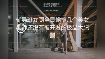 辅导班女厕全景偷拍几个美女老师还没有被开发的极品大肥鲍