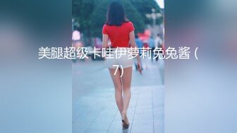 美腿超级卡哇伊萝莉兔兔酱 (7)