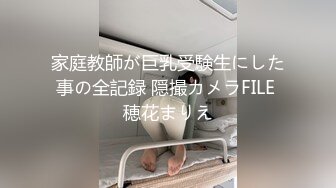 家庭教師が巨乳受験生にした事の全記録 隠撮カメラFILE 穂花まりえ