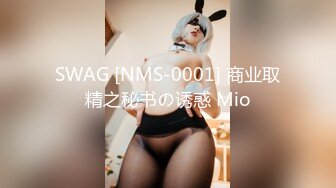 SWAG [NMS-0001] 商业取精之秘书の诱惑 Mio