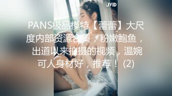 PANS极品模特【蕾蕾】大尺度内部资源合集，粉嫩鲍鱼， 出道以来拍摄的视频，温婉可人身材好，推荐！ (2)