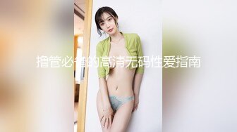 撸管必备的高清无码性爱指南